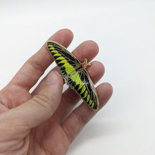 Load image into Gallery viewer, Rajah Brooke&#39;s Birdwing Butterfly Enamel Pin
